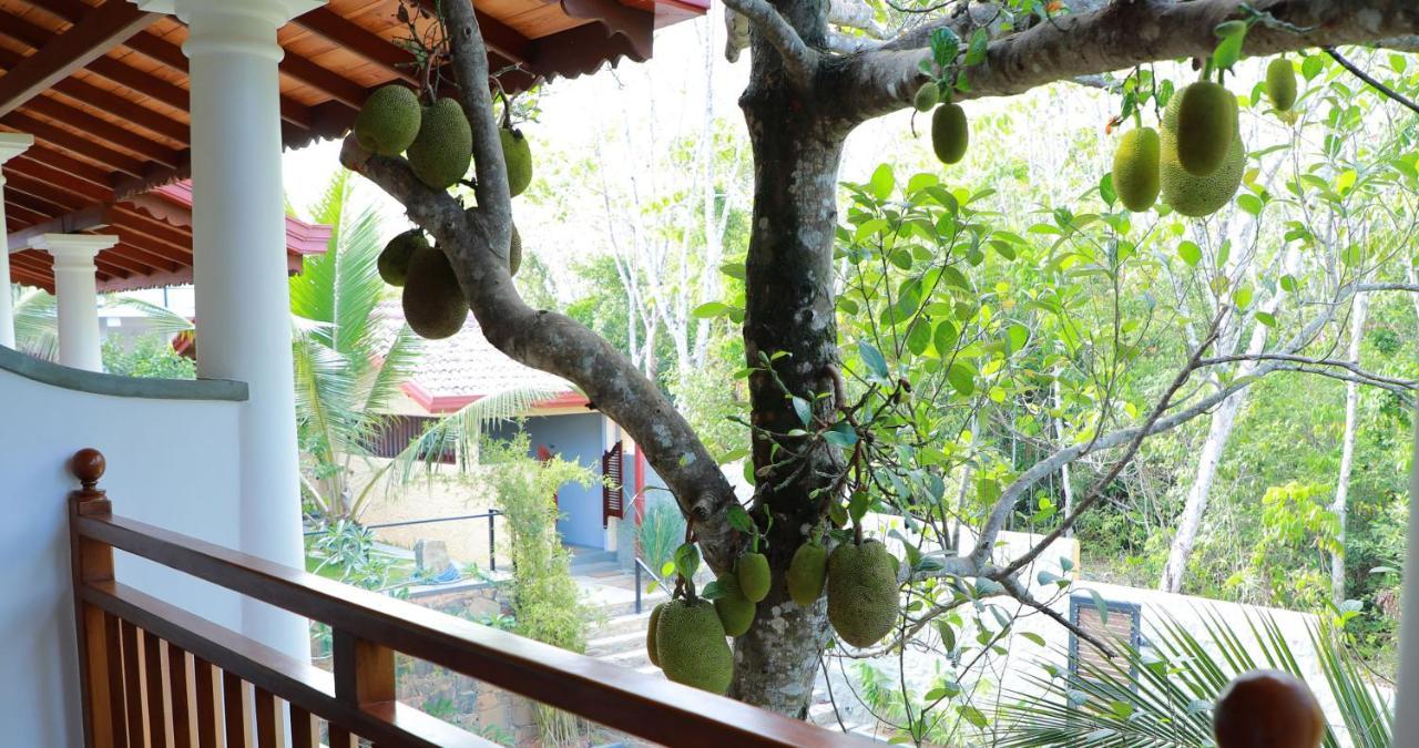 Terrace Garden Ayurveda Resort Weligama Zewnętrze zdjęcie