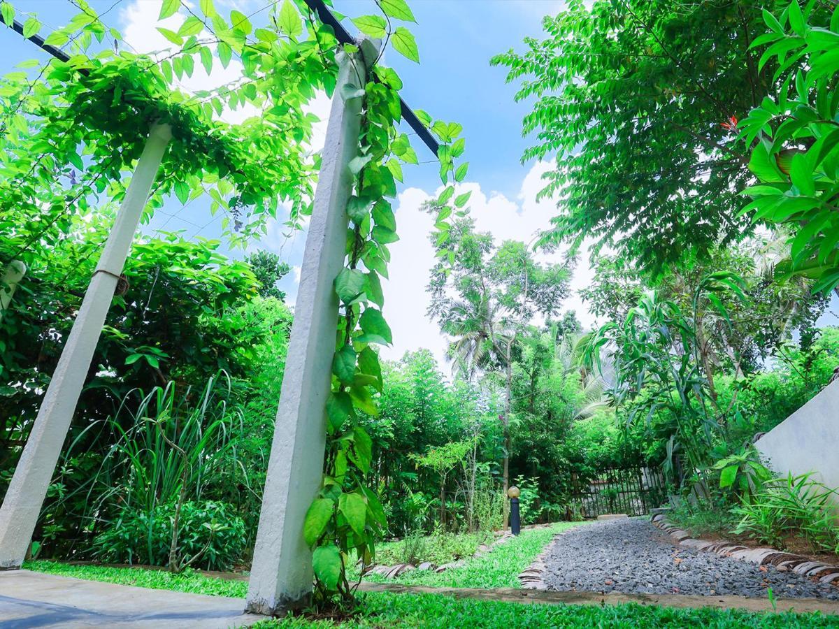Terrace Garden Ayurveda Resort Weligama Zewnętrze zdjęcie