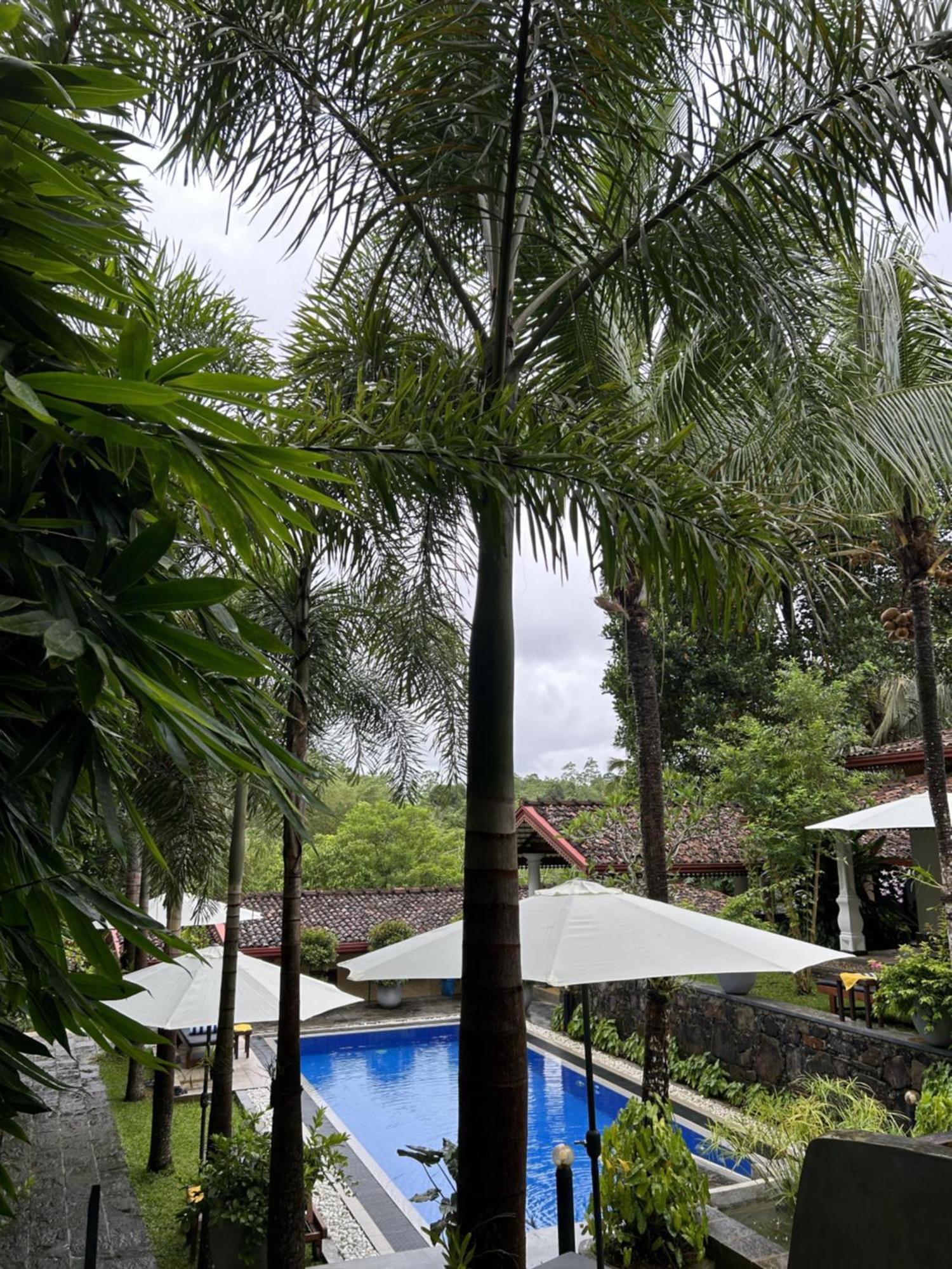 Terrace Garden Ayurveda Resort Weligama Zewnętrze zdjęcie